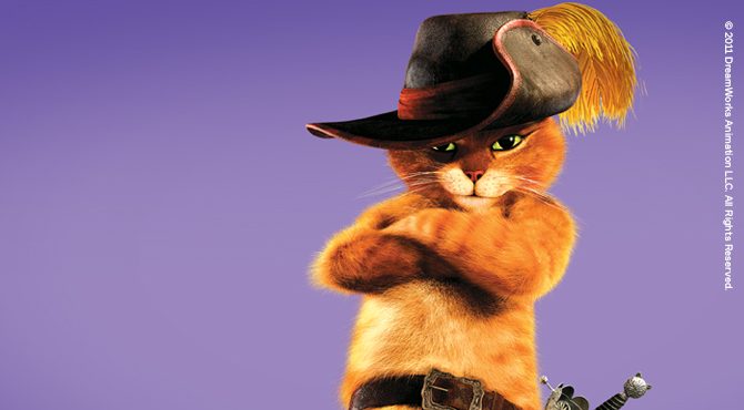 oranž kass, kes kannab saapaid 